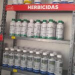 TUXTLA (4)